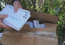 Peregrinos encontram milhares de cartas abandonadas no mato entre Leiria e Fátima